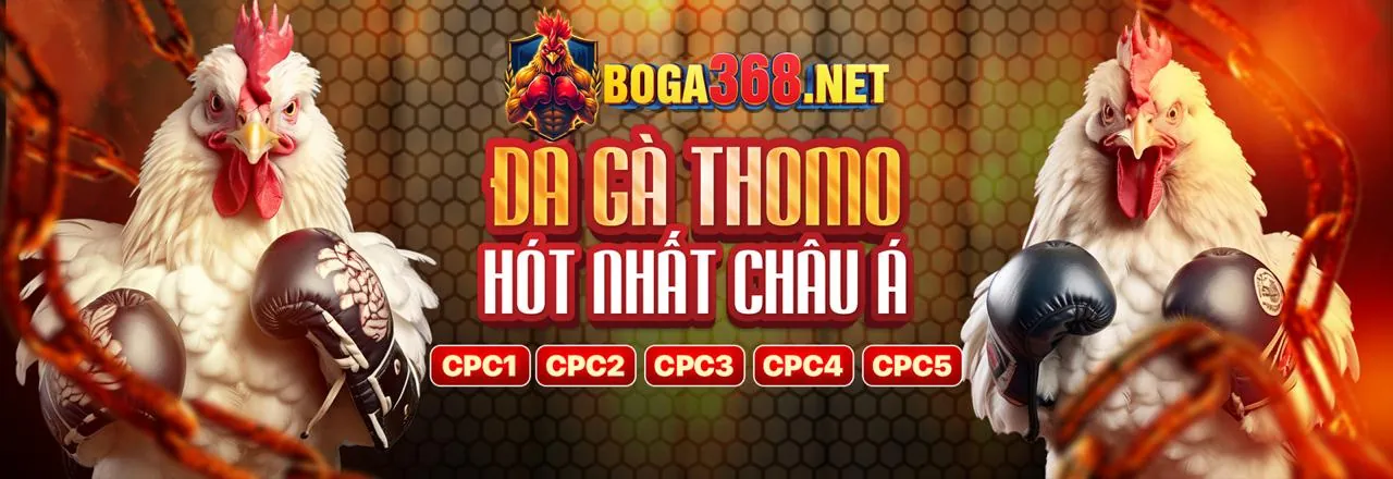 Đấu trường đá gà trực tuyến đỉnh cao tại fm88 app